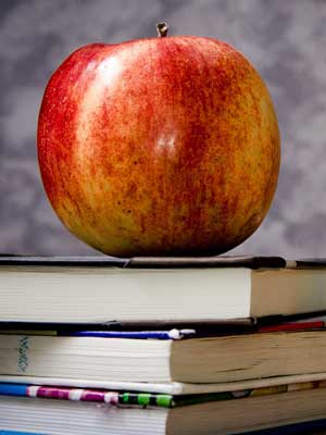 自动攻击网站工具下载